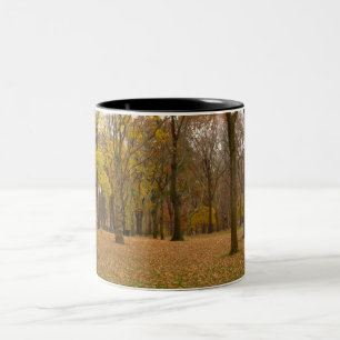 Bicolor Taza de Nueva York del Central Park de la taza de