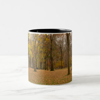 Bicolor Taza de Nueva York del Central Park de la taza de