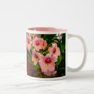 Bicolor Taza de Olivia