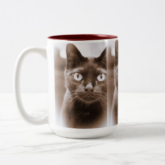 Bicolor Taza de Pywacket Potrait I