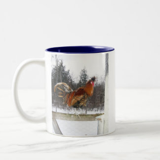 Bicolor Taza de Rex