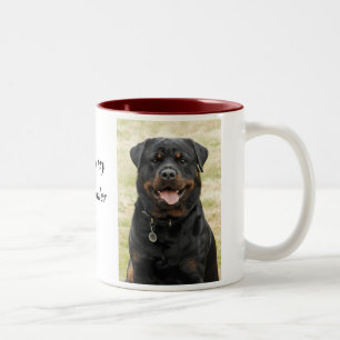 Bicolor Taza de Rottweiler