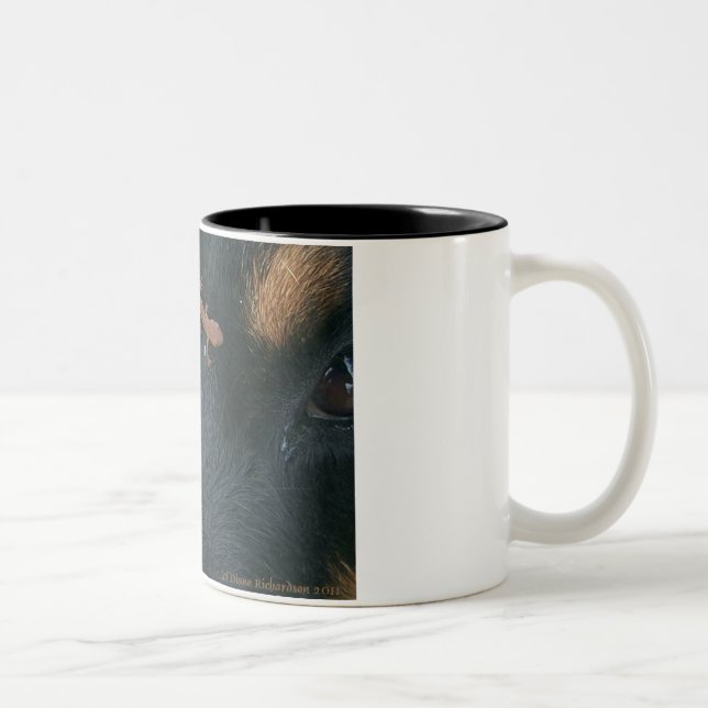 Bicolor Taza de Rottweiler y del Salamander (Derecha)