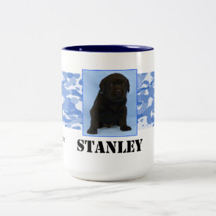 Bicolor Taza de Stanley