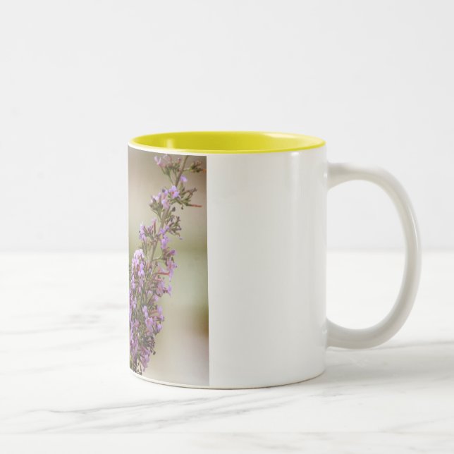 Bicolor Taza de Swallowtail del tigre (Derecha)