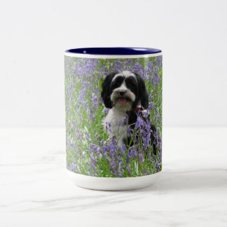 Bicolor Taza de Terrier tibetano