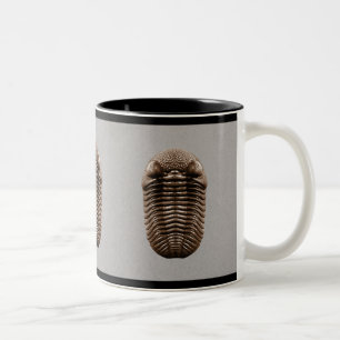 Bicolor Taza de Trilobite