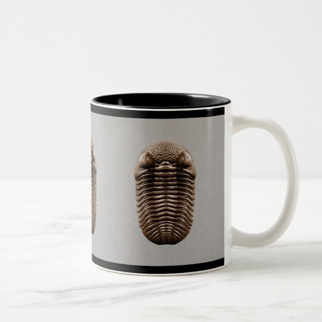 Bicolor Taza de Trilobite (Derecha)