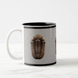 Bicolor Taza de Trilobite