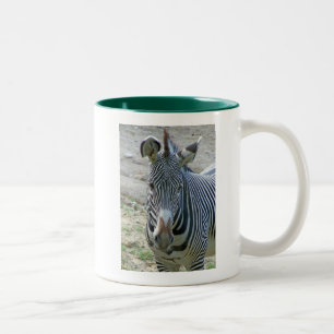 Bicolor Taza de Waterhole