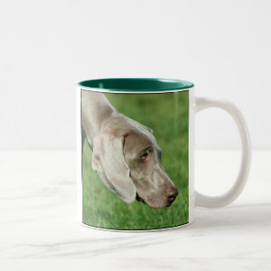 Bicolor Taza de Weimaraner