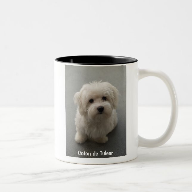 Bicolor Taza del algodón (Derecha)