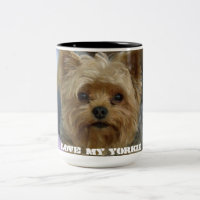 Taza del amor de Yorkie