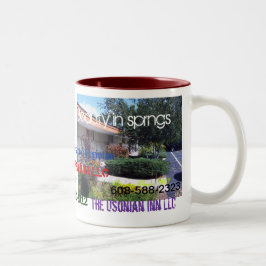 Bicolor Taza del aniversario del mesón de Usonian