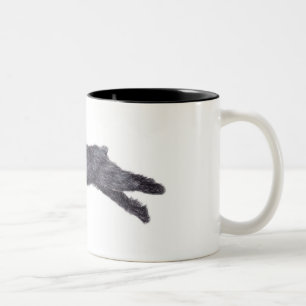 Bicolor Taza del arte del perro del DES Flandres de