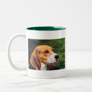 Bicolor Taza del beagle