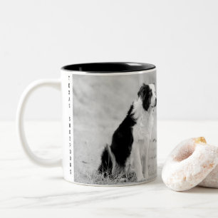 Bicolor Taza del border collie