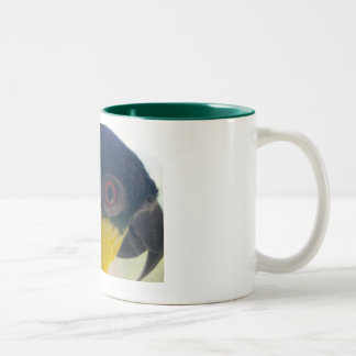 Bicolor Taza del caique