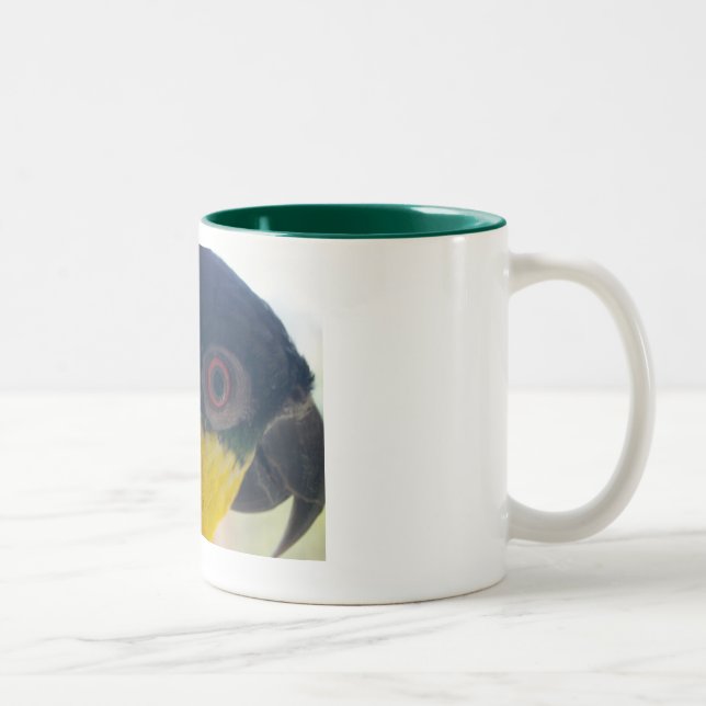 Bicolor Taza del caique (Derecha)