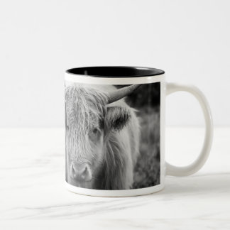 Bicolor Taza del Coo de Heilan