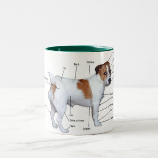 Bicolor Taza del diagrama de Jack Russel