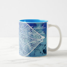 Bicolor Taza del fitoplacton