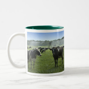 Bicolor Taza del ganado de Holstein