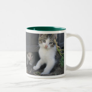 Bicolor Taza del gatito