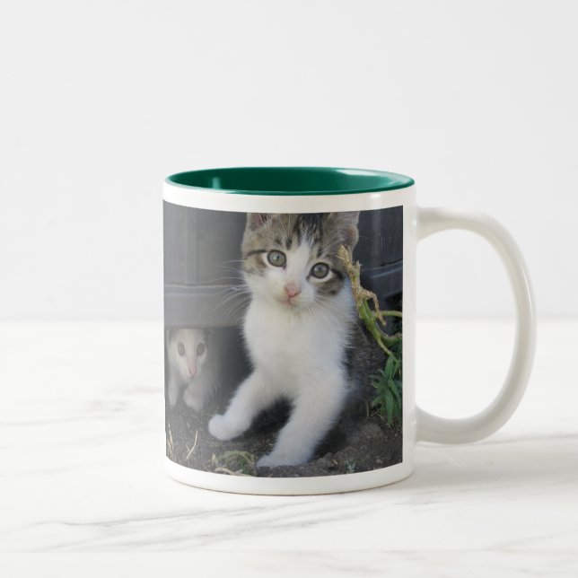 Bicolor Taza del gatito (Derecha)