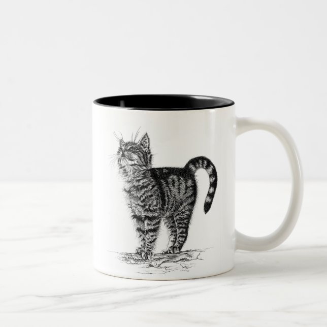 Bicolor Taza del gatito del Tabby (Derecha)