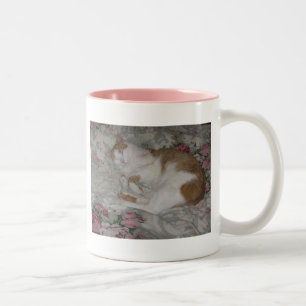 Bicolor taza del gato