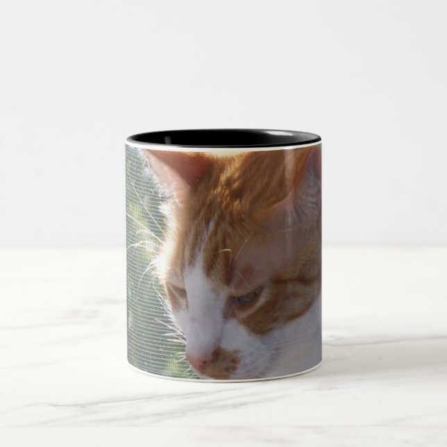 Bicolor Taza del gato (Centro)