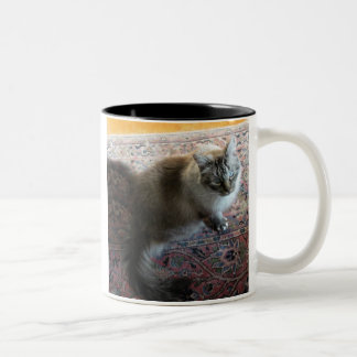 Bicolor Taza del gato con verso… en el ojo cariñoso de un