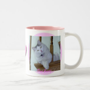 Bicolor Taza del gato del gatito