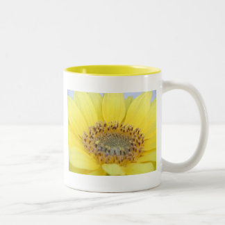 Bicolor Taza del girasol