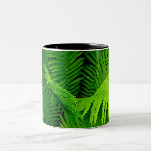 Bicolor Taza del helecho
