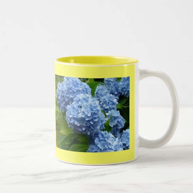 Bicolor Taza del Hydrangea (Derecha)