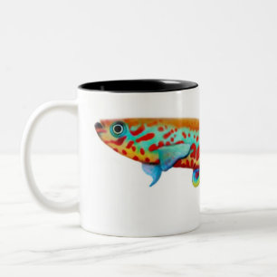 Bicolor Taza del Killifish de Fundulopanchax Gardneri