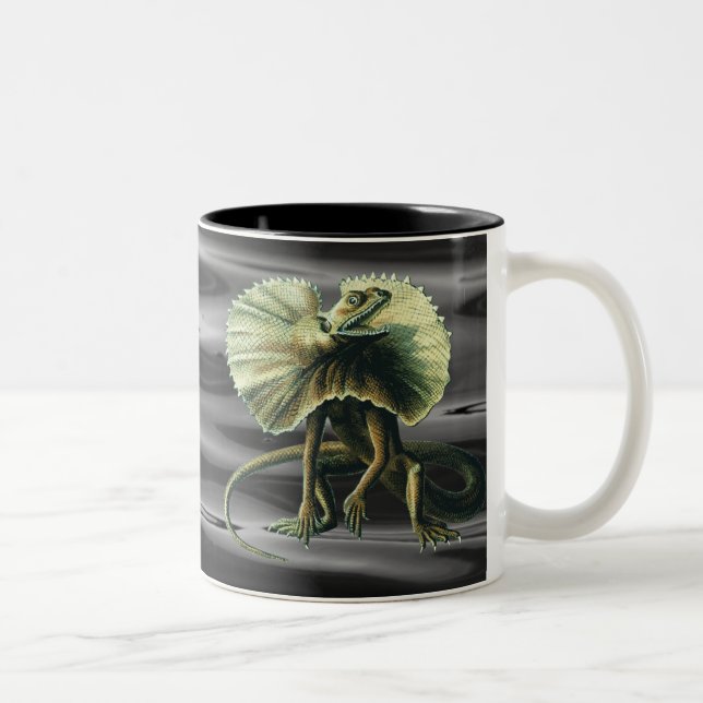 Bicolor Taza del lagarto de Jesús (Derecha)
