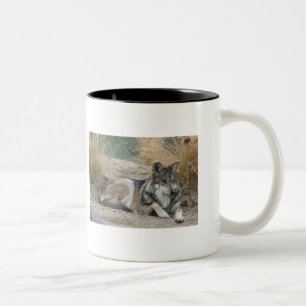 Bicolor Taza del lobo