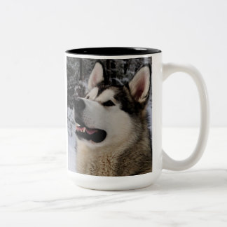 Bicolor Taza del Malamute de Alaska
