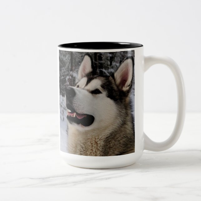 Bicolor Taza del Malamute de Alaska (Derecha)