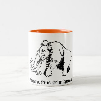 Bicolor Taza del mamut lanoso (nombre científico)
