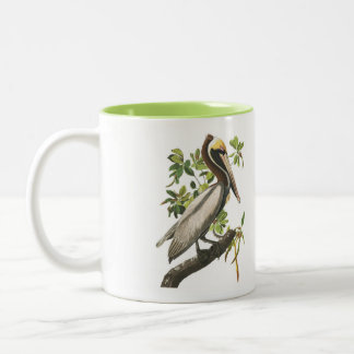Bicolor Taza del pájaro de Audubon, pelícano de Brown, 15