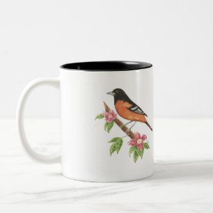 Bicolor Taza del pájaro de Baltimore Oriole