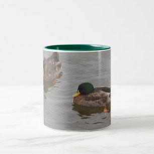 Bicolor Taza del pato