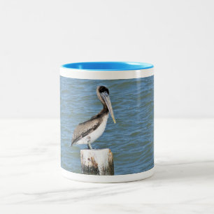 Bicolor Taza del pelícano