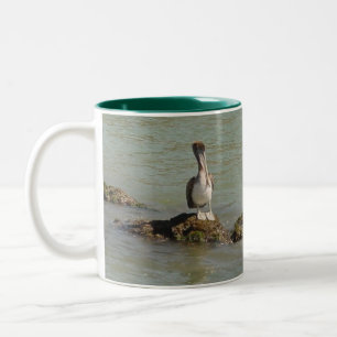 Bicolor Taza del pelícano