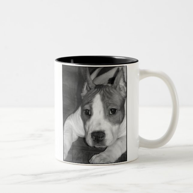 Bicolor Taza del perrito de Pitbull (Derecha)