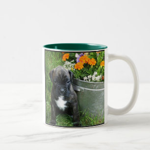 Bicolor Taza del perrito del boxeador